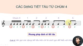 Tiết Tấu