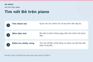 Đồ họa Tìm nốt Đô trên piano: Tìm nhóm hai – Quan sát các nhóm hai và ba phím đen lặp lại.; Nhìn bên trái – Đô nằm ở phím trắng ngay bên trái nhóm hai phím đen.; Kiểm tra nhiều vùng – Tìm vài nốt Đô, phát tiếng và nghe cao độ thay đổi theo vùng đàn.